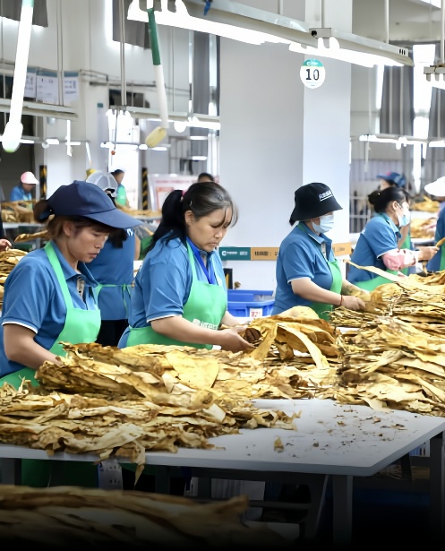 煙草行業(yè)廢氣異味治理